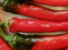 Piment cayenne Ring of Fire biologique